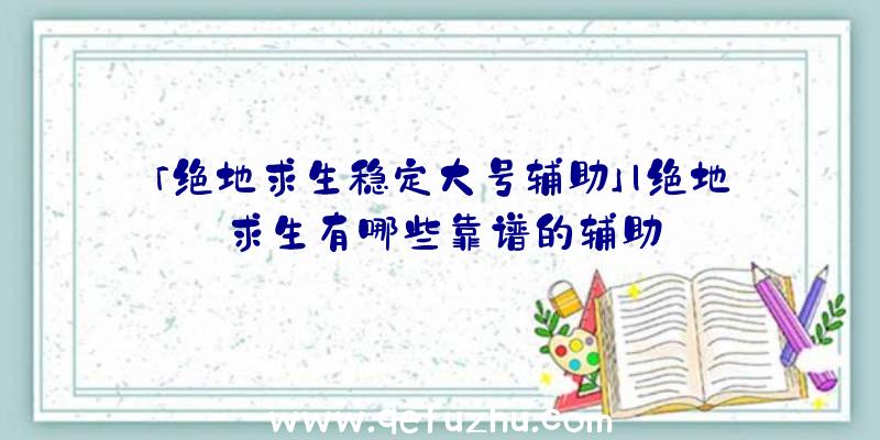 「绝地求生稳定大号辅助」|绝地求生有哪些靠谱的辅助